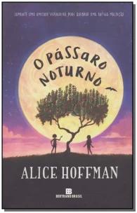 O pássaro noturno